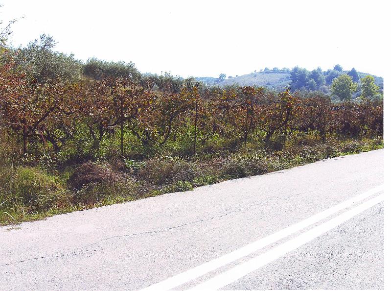 Outside10004.JPG